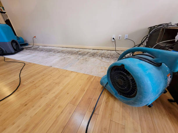 Professional Structural Drying technician working in Monson, MA